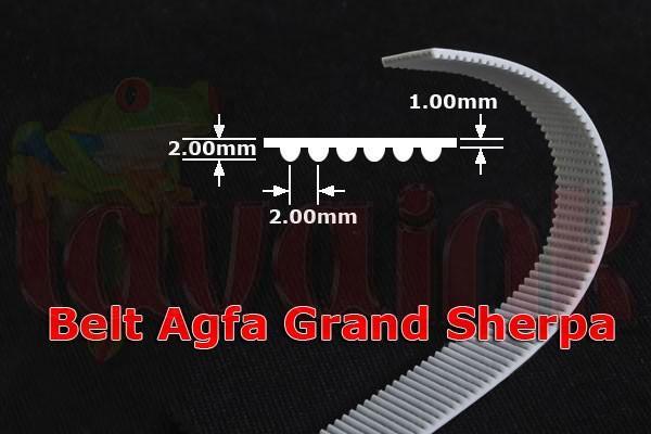 Agfa Grand Sherpa Belt