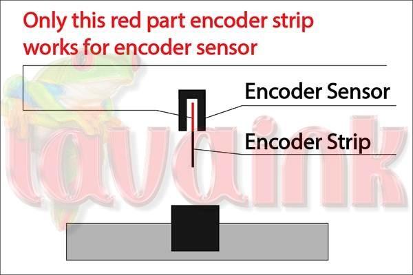 Encoder Strip and Encoder Sensor Position