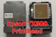Epson TX800 Printhead Image